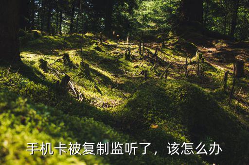 手機卡被復制監聽了，該怎么辦