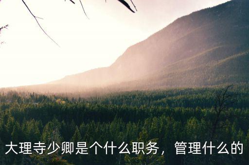 董文標現在是什么職務,大理寺少卿是個什么職務