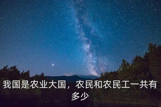 我國是農業大國，農民和農民工一共有多少
