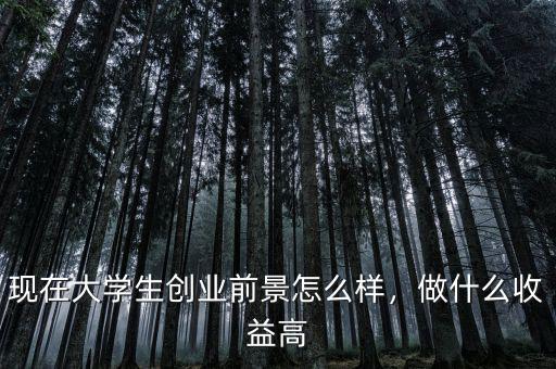 現在大學生創業前景怎么樣，做什么收益高