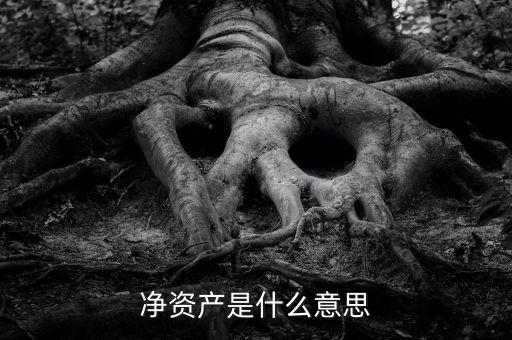凈資產是什么意思