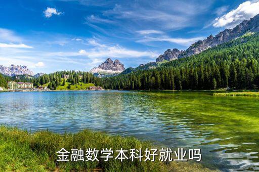 數派金融怎么樣,金融數學本科好就業嗎