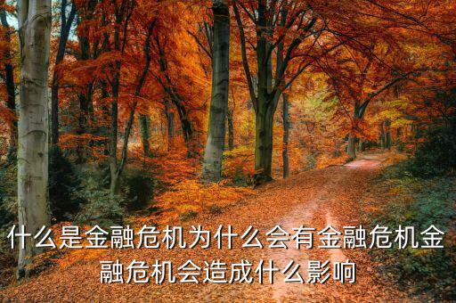 為什么會有金融危機,為什么會發生金融危機呢