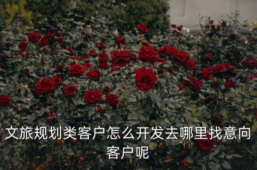 客戶怎么規劃,文旅規劃類客戶怎么開發