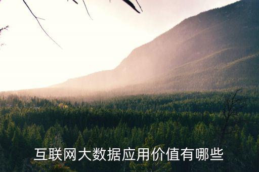 互聯網十有什么價值,互聯網大數據應用價值有哪些
