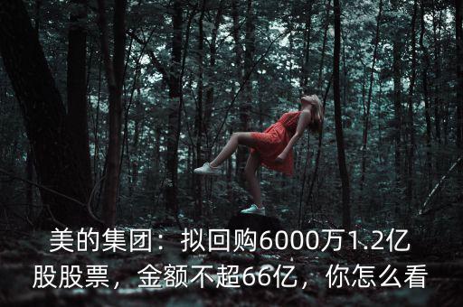 美的集團：擬回購6000萬1.2億股股票，金額不超66億，你怎么看