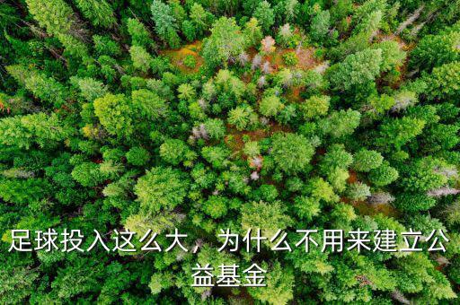 為什么建立基金,李連杰為什么創造壹基金