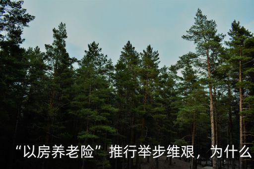 為什么要推進以房養老,以房養老劃算嗎