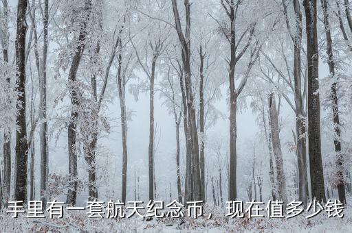 手里有一套航天紀念幣，現在值多少錢