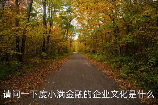 請問一下度小滿金融的企業文化是什么