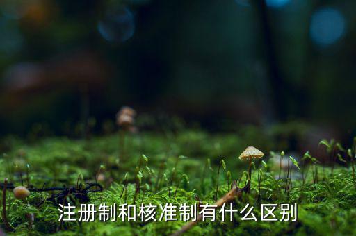 注冊制和核準制有什么區別