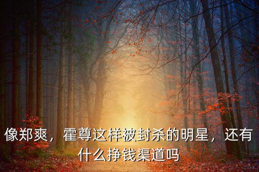 像鄭爽，霍尊這樣被封殺的明星，還有什么掙錢渠道嗎