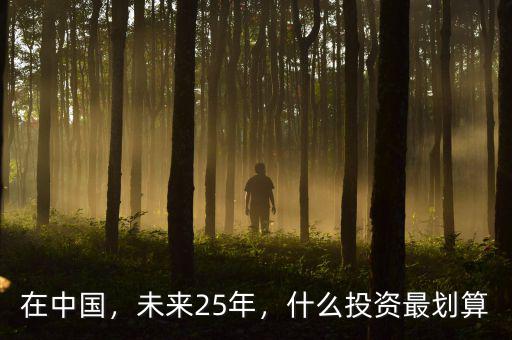 在中國(guó)還可以投資什么,請(qǐng)問今年在還能在哪里投資