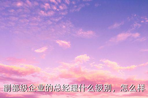 副部級企業的總經理什么級別，怎么樣