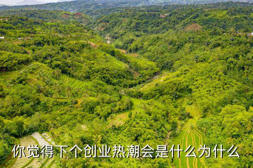 2015什么創業的熱潮,你覺得下個創業熱潮會是什么