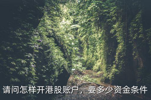 請(qǐng)問(wèn)怎樣開(kāi)港股賬戶(hù)，要多少資金條件