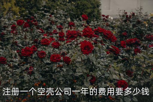租空客公司需要多少錢,那些養一個空殼公司的