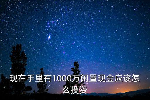 現在手里有1000萬閑置現金應該怎么投資