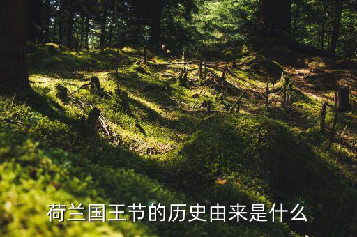荷蘭國王資喜歡什么,荷蘭國王節的歷史由來是什么
