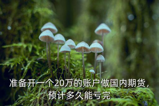 準備開一個20萬的賬戶做國內期貨，預計多久能虧完