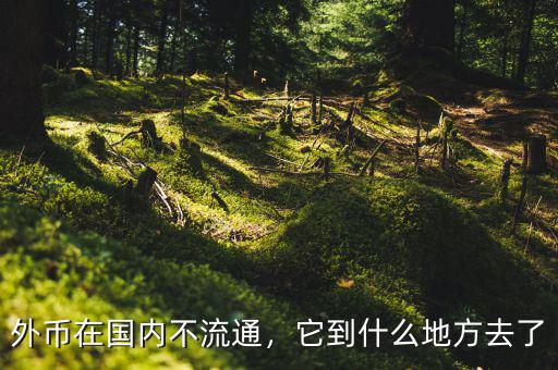 外幣在國內不流通，它到什么地方去了