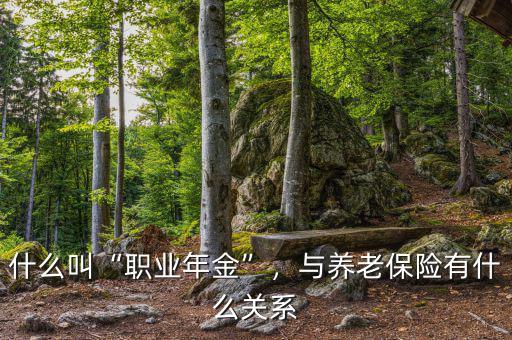 什么是養老保險頂層設計與探究,職工養老保險都指的什么