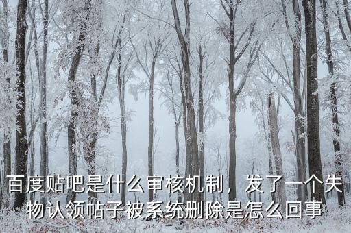 百度貼吧是什么審核機制，發了一個失物認領帖子被系統刪除是怎么回事