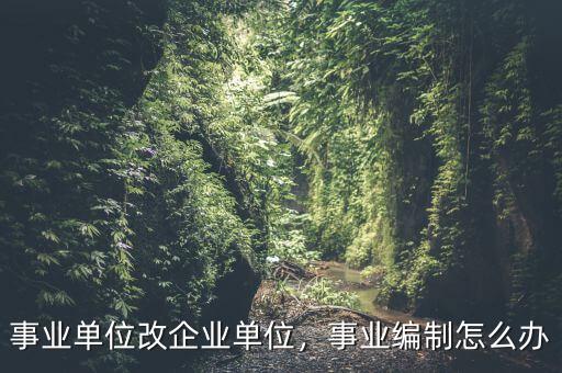 事業單位改企業單位，事業編制怎么辦