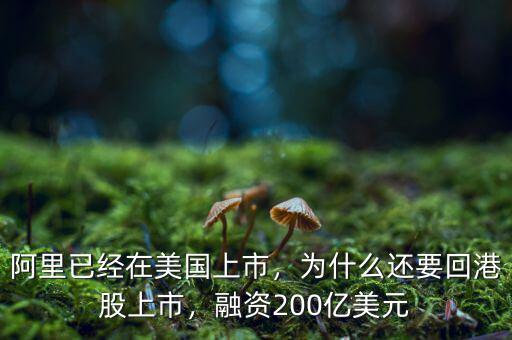 阿里已經在美國上市，為什么還要回港股上市，融資200億美元