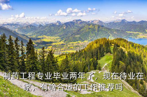 制藥工程專業畢業兩年了，現在待業在家，有啥合適的工作推薦嗎