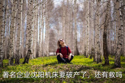 著名企業(yè)沈陽(yáng)機(jī)床要破產(chǎn)了，還有救嗎