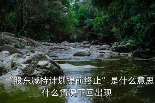 “股東減持計劃提前終止”是什么意思什么情況下回出現