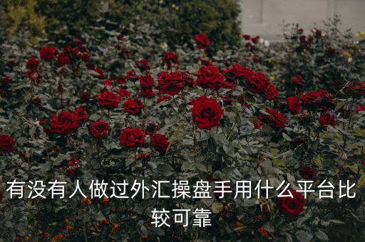 外匯操盤手是什么,最近應聘了外匯操盤手的職位