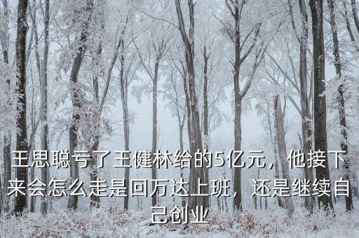 王思聰虧了王健林給的5億元，他接下來會怎么走是回萬達上班，還是繼續(xù)自己創(chuàng)業(yè)