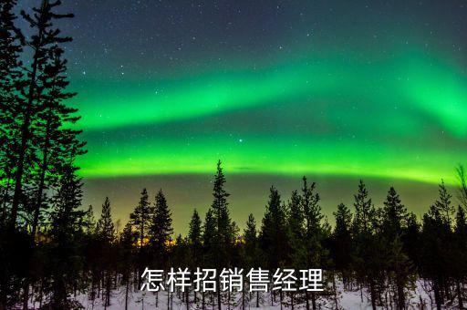 怎樣招銷售經理