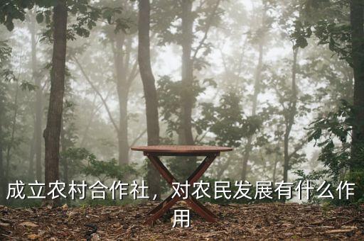 成立農村合作社，對農民發展有什么作用