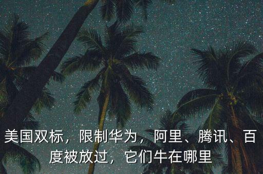 美國雙標，限制華為，阿里、騰訊、百度被放過，它們牛在哪里