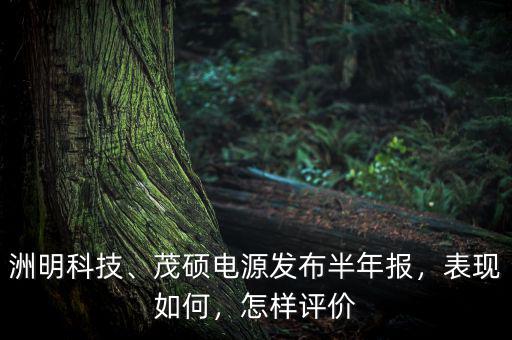 洲明科技、茂碩電源發(fā)布半年報，表現(xiàn)如何，怎樣評價