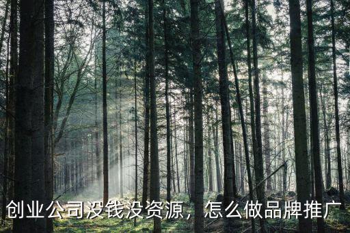 創業公司沒錢了怎么辦,創業公司拖欠工資怎么辦