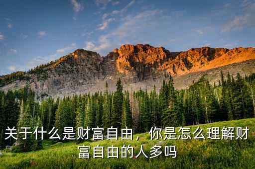 關(guān)于什么是財富自由，你是怎么理解財富自由的人多嗎