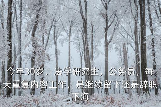 今年30歲，法學研究生，公務員，每天重復內容工作，是繼續留下還是辭職下海