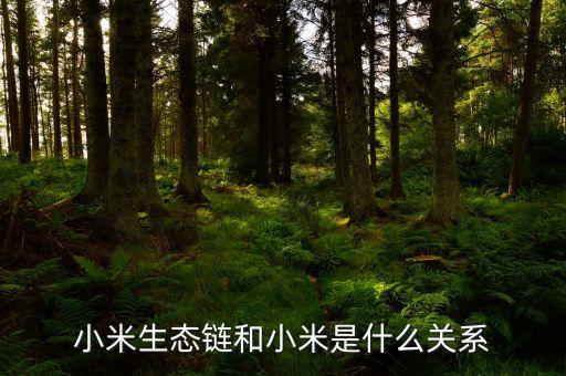 小米發展模式是什么,小米的模式是什么呢