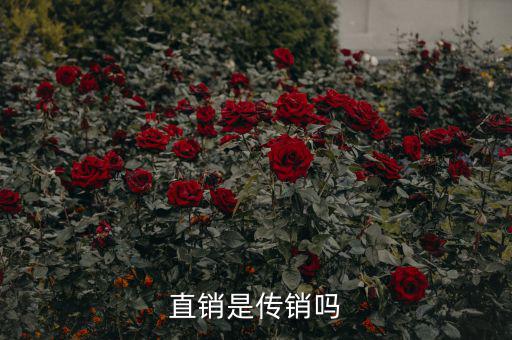 直銷證的直銷區域是什么意思,直銷是傳銷嗎