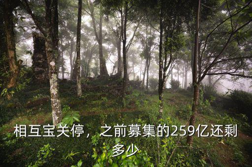 e租寶現在還剩下多少錢,還剩多少錢養老