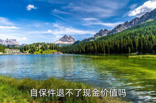 自保件怎么退,自保件退不了現金價值嗎