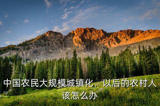 中國農民大規模城鎮化，以后的農村人該怎么辦