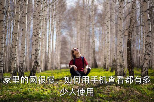 家里的網很慢，如何用手機查看都有多少人使用