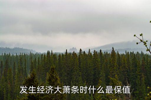 發生經濟大蕭條時什么最保值