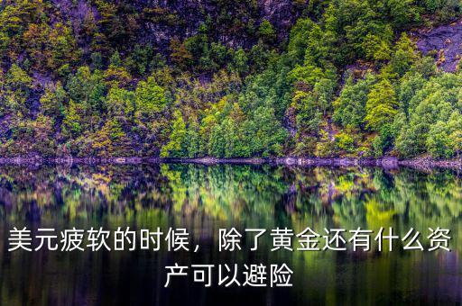 美元疲軟的時候，除了黃金還有什么資產可以避險