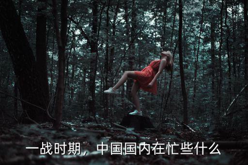 1916年中國在干什么,二戰時潘興在干什么